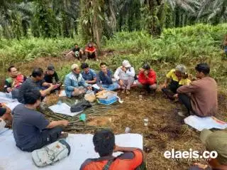 PT Kaswari Unggul Caplok Lahan Transmigrasi di Rantau Karya, SPI Jambi Bergerak