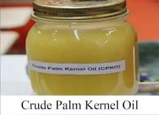 Dua Hari Terakhir, Begini Nasib Harga CPKO pada Tender PT KPBN