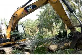 Abdul Wahid: Program BPDPKS Sudah Bagus, tapi Porsi untuk Petani Kurang Banyak
