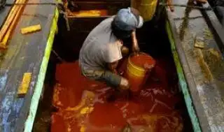 Selamat Ya! Tembus Rp 13.000 Harga CPO Hasil Tender PT KPBN Periode 1 Juli 2024