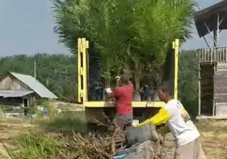 Punya Bisnis Pembibitan Sawit? Ini Tips Dari Hendri Cen Biar Tak Cepat 'Gulung Tikar'
