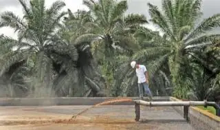 BRIN Gandeng Swasta Kembangkan Demulsifier Penyerap Minyak Sawit yang Tersuspensi di POME