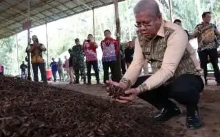 Jadi Bahan Bakar PLTU, ini Keunggulan Briket dari Tankos Sawit Dibanding Batu Bara