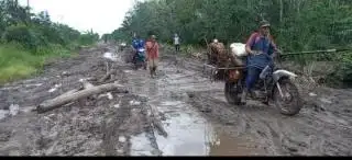 Jalan Rusak, Harga Sawit di Siak Kecil Jeblok
