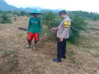 Dorong Program Tumpang Sari di Lahan Sawit, Aipda Iswan Jadi Penyuluh Pertanian Dadakan
