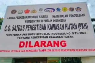 Satgas PKH Diingatkan Tidak Perburuk Citra Sawit Indonesia