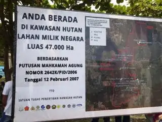 Cerita 'Bayi Ajaib' dan Kebun Sawit Ratusan Perusahaan di Label 'Haram' itu