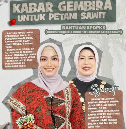 Wow! Pemkab Dharmasraya Manjakan Petani Sawit dengan Pupuk Gratis dan Mobil Angkut Panen
