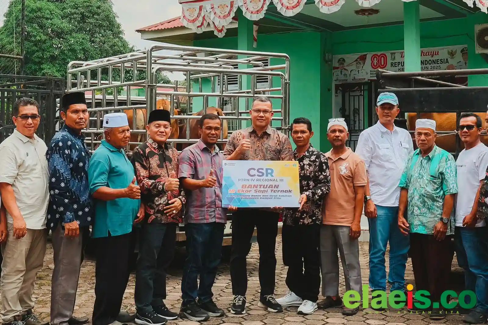 PTPN IV Rangkul Masyarakat Adat Kasikan-Talang Danto Perkuat Ketahanan Pangan dan Ekonomi Melalui Peternakan Sapi