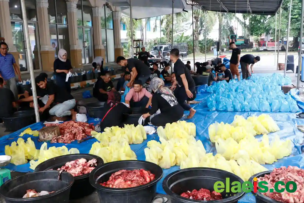 150 Ton Daging Kurban PTPN IV PalmCo Mengalir ke Pelosok Negeri