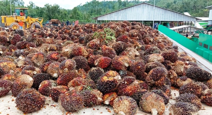 Cerita Asal Mula Limbah SBE