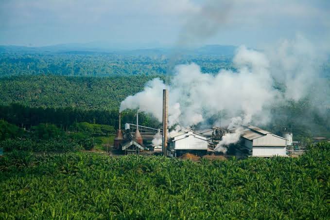 Bangun 6 Pabrik, Emiten Sawit DSNG Rogoh Rp677 Miliar