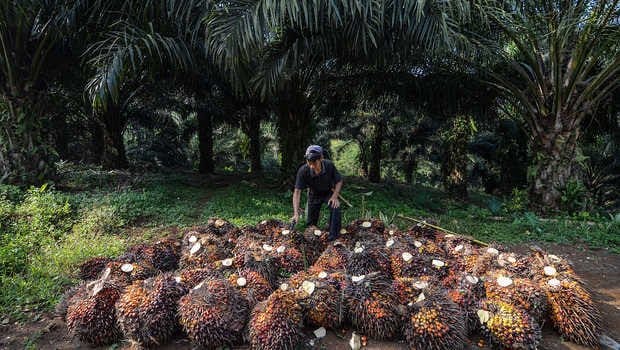 Eagle High, Jual Saham Dua Anak Usahanya Gara-gara Ini...