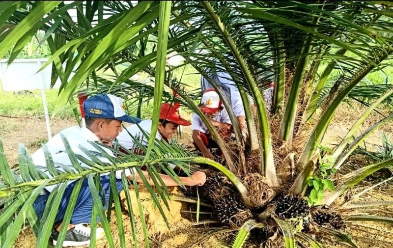'Tidur' Doang, Petani Ini Diguyur Duit