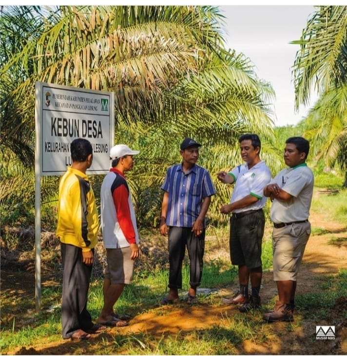 PT Musim Mas Bangun Ribuan Hektar KKPA dan Kebun Kas Desa
