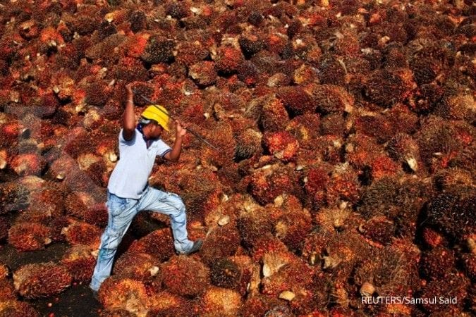 Tarif PE Direvisi, Harga TBS di Sumut Naik