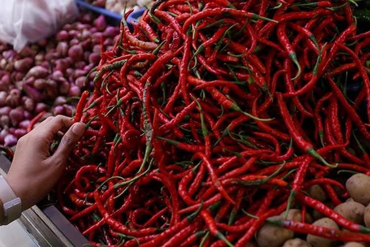 Ooh Ternyata Ini yang Bikin Harga Cabai di Siak Mahal Pekan Lalu!