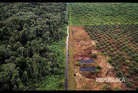 Klaim Kawasan Hutan Hambat Realisasi PSR