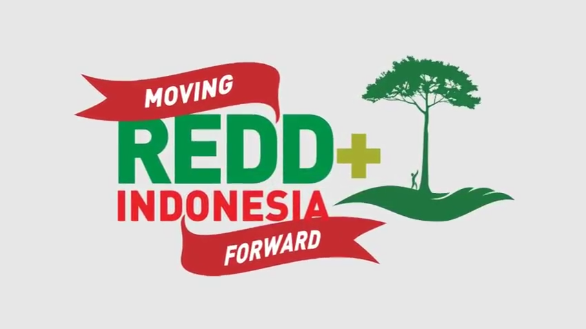 Norwegia dan REDD+: Awalnya Senang, Lalu Meriang