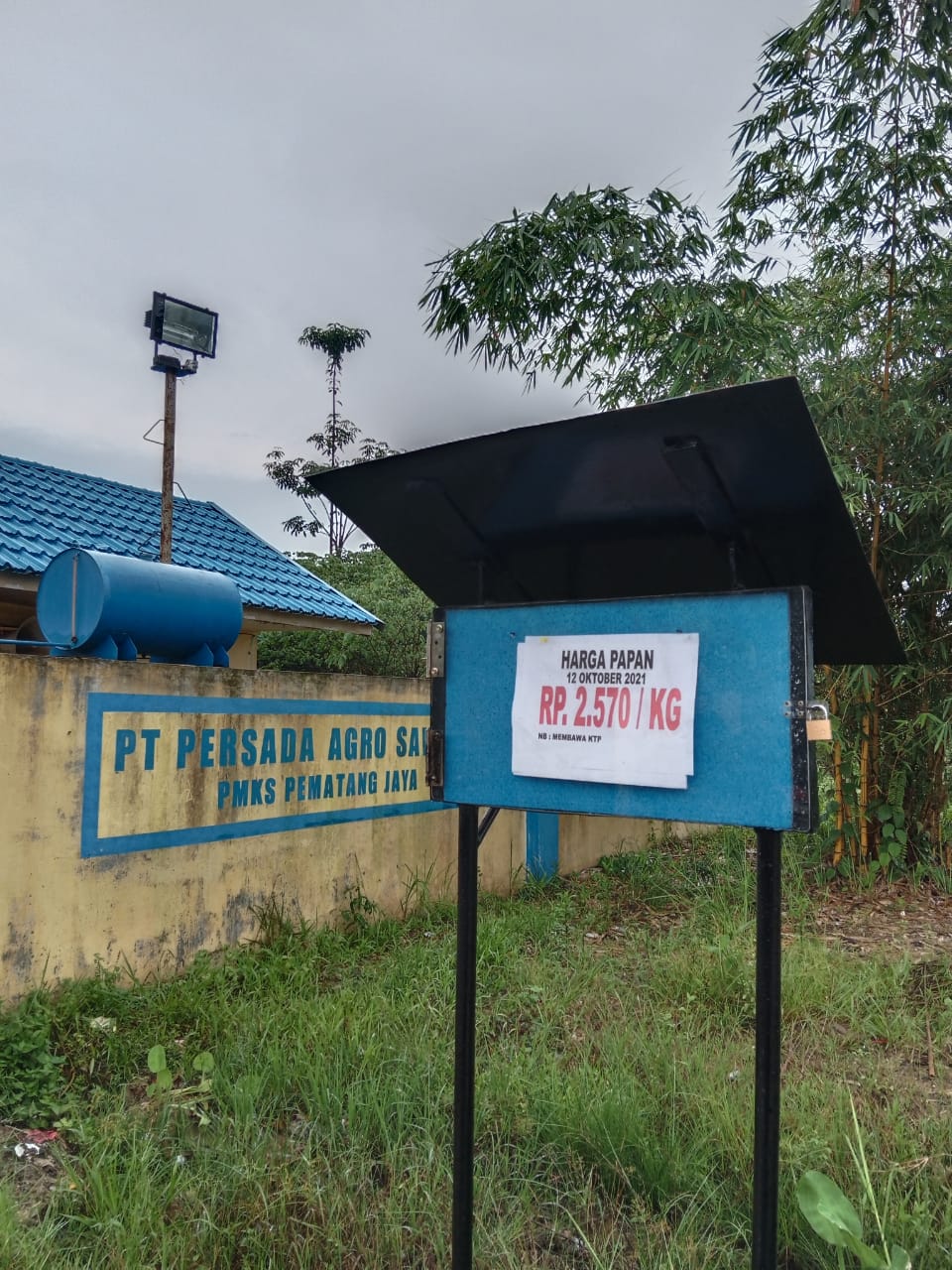 Petani Inhu Keluhkan Harga Sawit di PT PAS Jauh dari Aturan
