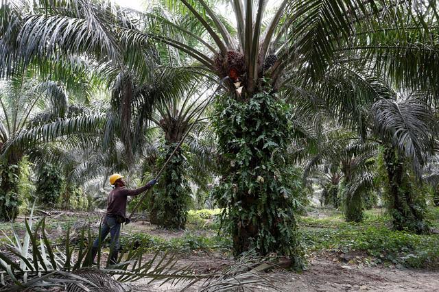 Target Negeri Seribu Parit Akan Tercapai