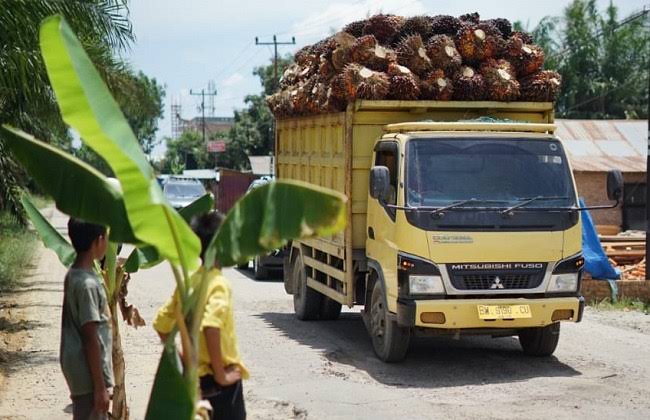 Begini Cara Toke Asep Jaga Sopir dan Armadanya Demi Kenyamanan Petani Sawit