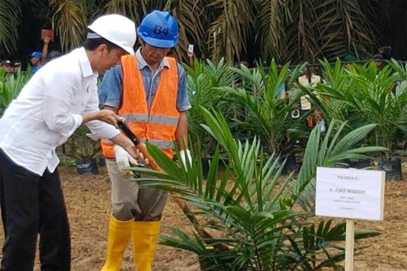 Presiden Jokowi Diusulkan Jadi Kandidat 110 Tokoh Sawit Indonesia