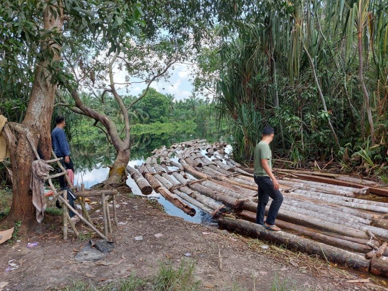 Kepergok Hanyutkan Kayu Ilegal Melalui Sungai, 'Anak Jenderal' Disikat