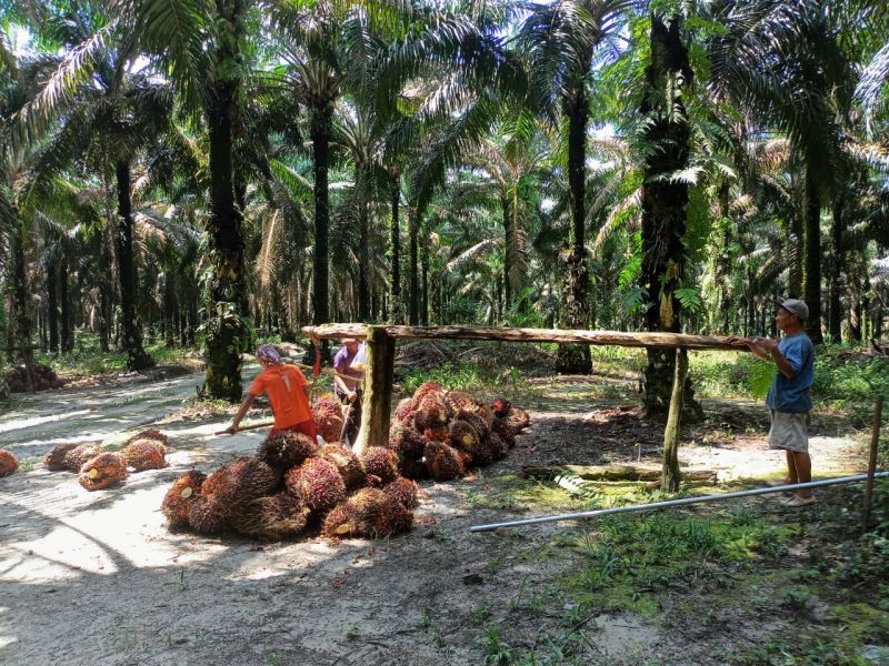 Soal Pemberdayaan Petani, Lain yang Gatal Lain yang Digaruk