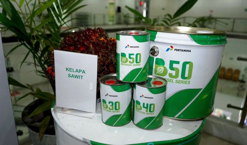 Rencana Bauran Unik di Tahun Depan, Ini Kata 'Pak Tani'
