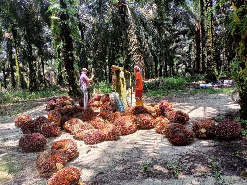 Ada Rasa Serba 30 di Barsela