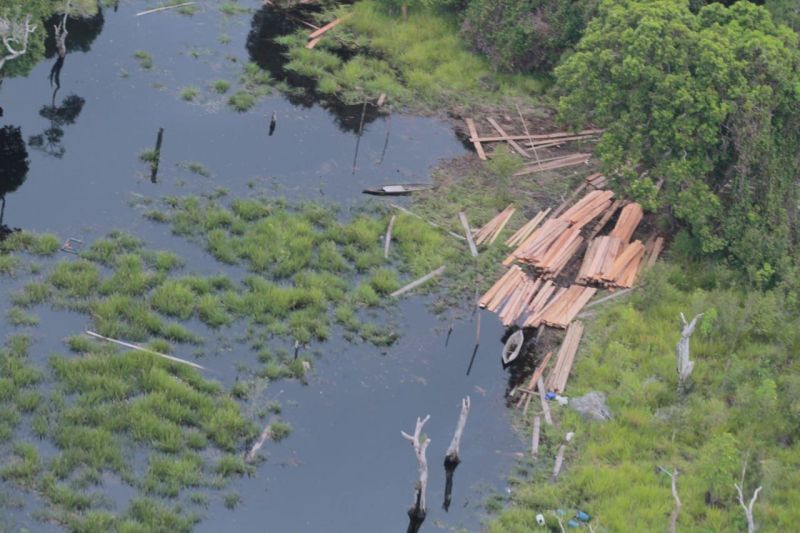 Jambi-Riau Jalin Kerja Sama Pengelolaan Hutan