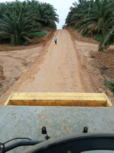 Alokasi DBH Sawit untuk Bantu Daerah Perbaiki Infrastruktur
