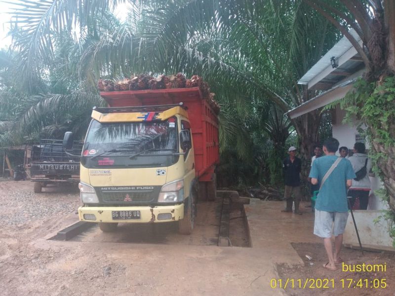 Petani ini Bikin Persaingan Bisnis Ram di Kampungnya Makin Ketat