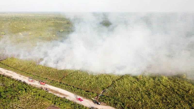 Empat Hektar Lahan Gambut di Riau Terbakar