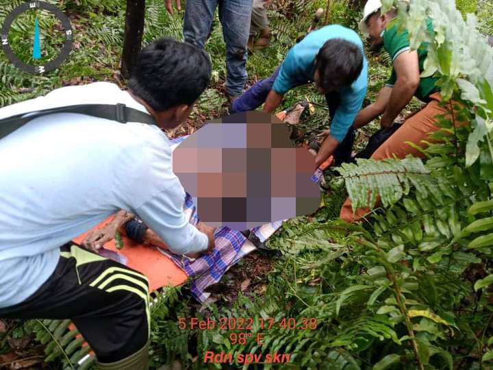 Kronologis Harimau Terkam Pekerja di Riau saat Tebang Akasia