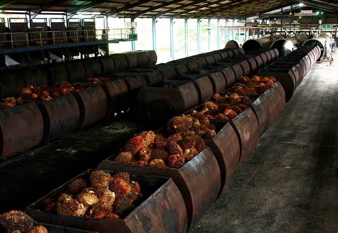 Siap-siap! 9 Pabrik Sawit Akan Diperiksa Disbun