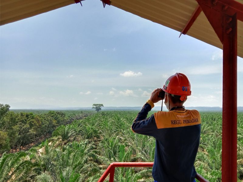 Perusahaan ini Mau Genjot Produksi CPO, Begini Caranya