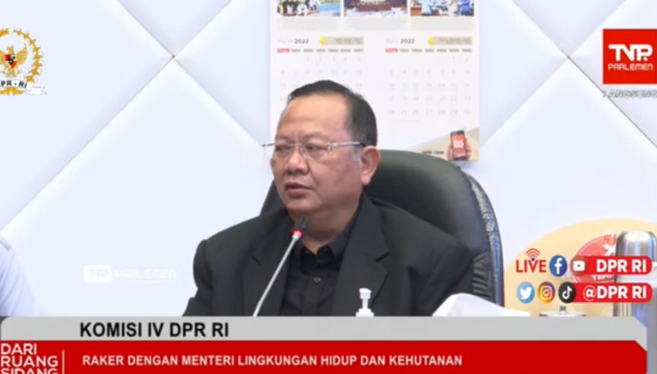 DPR: KLHK Harus Tindak Tegas Pelanggaran di Kawasan Hutan