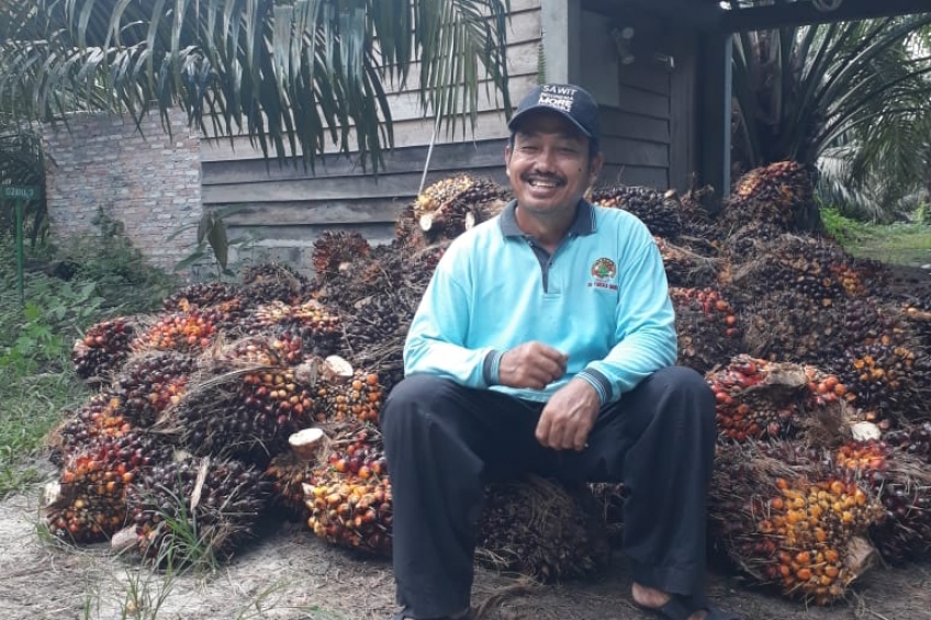 Jelang Lebaran, Ini Strategi dari Aspkepir untuk Petani Sawit