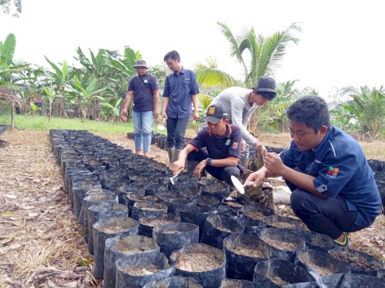 Jurusan Sedikit, Anak Petani Sawit Kurang Minat Beasiswa BPDPKS