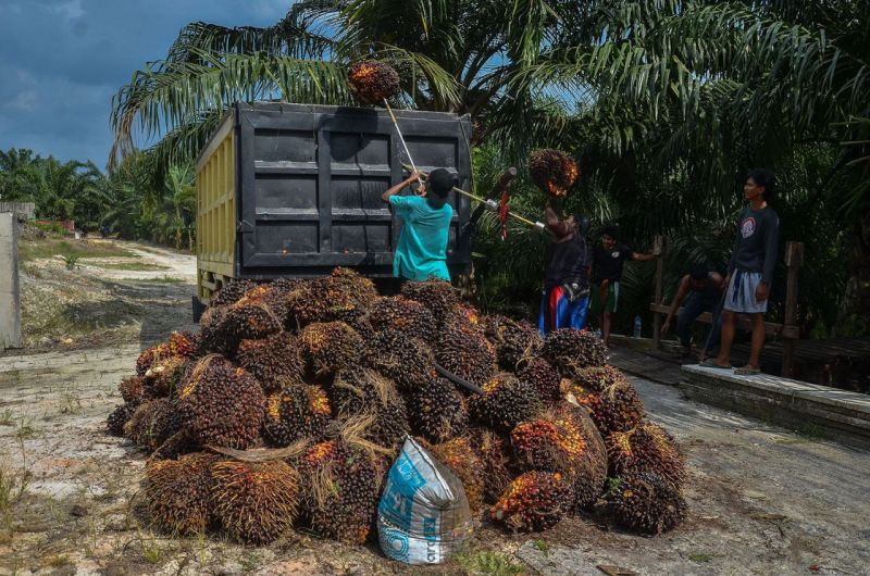 Petani Selalu Jadi Korban