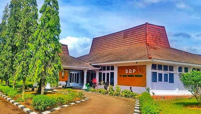 Pembangunan Kebun Kas Desa Oleh Perusahaan Tersendat, ini Sebabnya