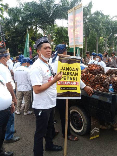 Petani Swadaya Merasa Sedang Dibunuh Perlahan-lahan