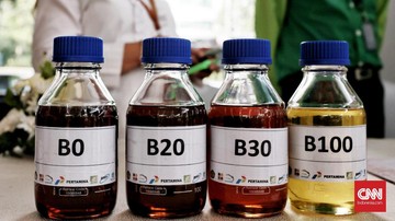 Begini Rencana Pemerintah Dongkrak Harga Sawit