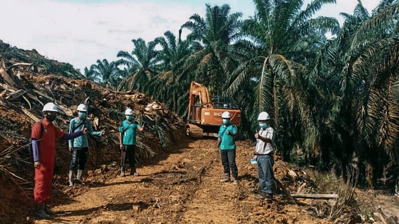 Pekebun yang Cukup Syarat Diminta Tak Sia-siakan Program PSR
