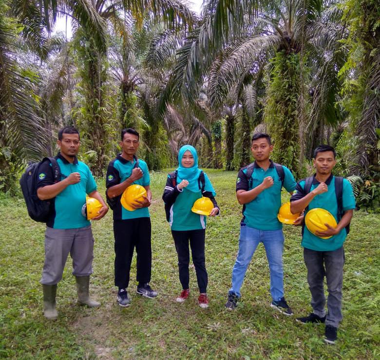 Daerah ini Tata Industri Sawit untuk Tangkis Kampanye Negatif