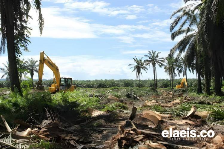 Solar Subsidi Hambat PSR di Bengkulu