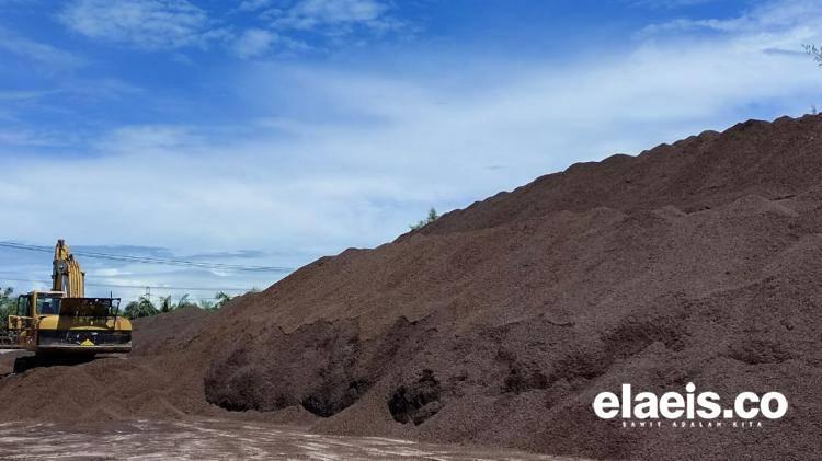Cangkang Sawit, Jawaban Kenaikan Harga BBM