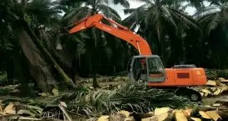Genjot Realisasi PSR, Pemerintah Disarankan Lakukan ini